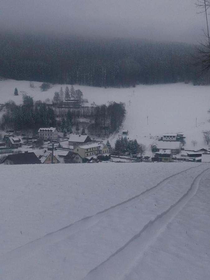 Hotel Ceska Farma Dolni Dvur Exterior foto