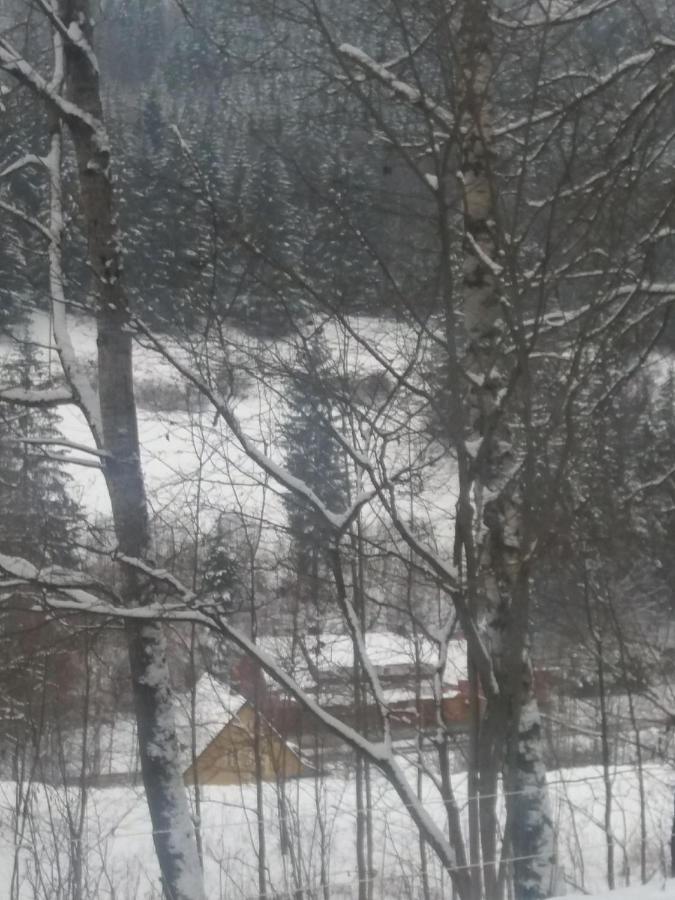 Hotel Ceska Farma Dolni Dvur Exterior foto
